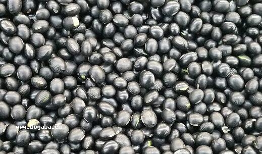延津黑豆.jpg
